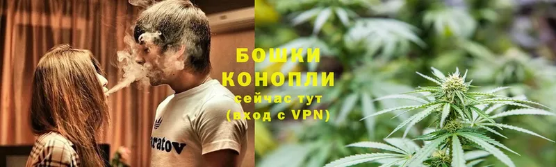 блэк спрут зеркало  Горбатов  Конопля VHQ 